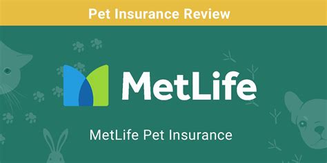 pet insurance no waiting periods|metlife pet insurance no wait period.